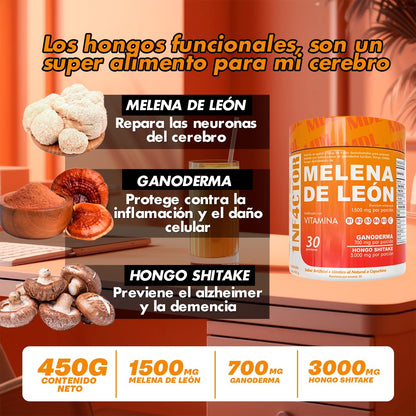 MELENA DE LEÓN EN POLVO x 450g